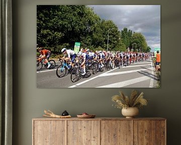 The Vuelta flies past the Bilt by wil spijker