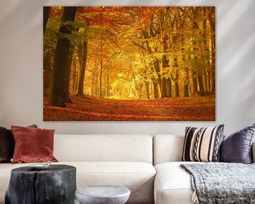 Pad door een beukenbos tijdens de herfst van Sjoerd van der Wal Fotografie