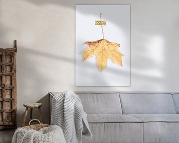 Feuille d'automne jaune sur un mur | Photographie de nature thème automne sur Denise Tiggelman