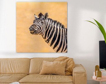 De lachende zebra van Omega Fotografie