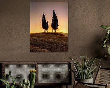 Landschap met cipressen in Toscane. van Voss Fine Art Fotografie