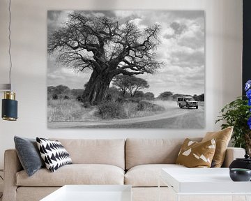 Landrover bij baobab van Herman van Ommen