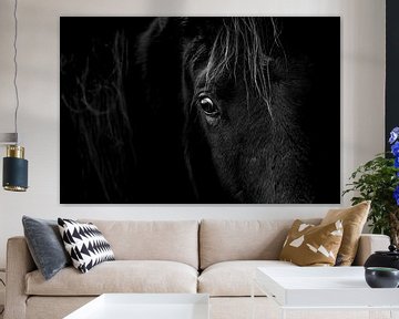 Fine Art paardenportret in low-key van Femke Ketelaar