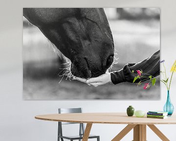 Fine Art connectie tussen mens en paard van Femke Ketelaar