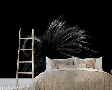 Fine Art pferdemähne und -ohr in Low-Key