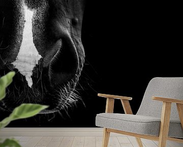 Fine Art horse snout in low-key by Femke Ketelaar