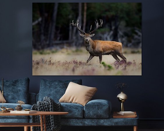 Aperçu de la chambre