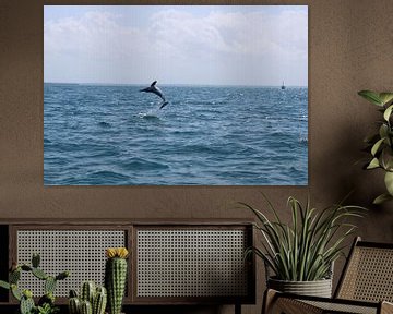 Dolphins in Kizimkazi on Zanzibar by Ramon Beekelaar