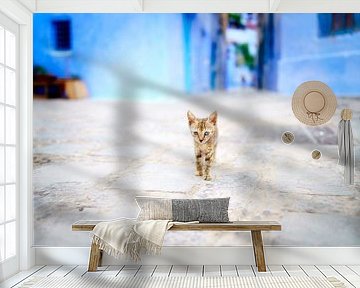 Een kat in Chefchaouen, Marokko van Roy Poots