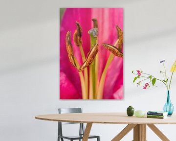 A lily is abstract art by Natuurpracht   Kees Doornenbal