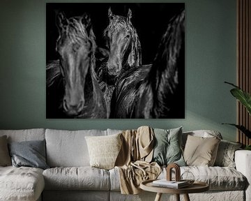 Portret van een paard in zwart-wit