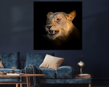 Lion sauvage sur Omega Fotografie