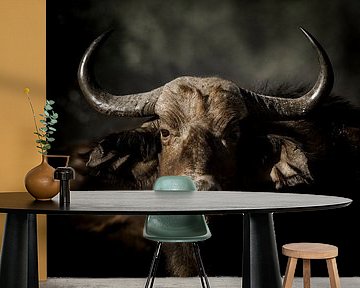 Portrait African buffalo by Omega Fotografie