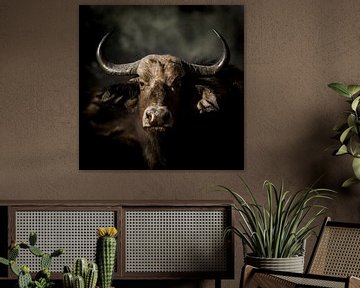 Portret Afrikaanse buffel van Omega Fotografie