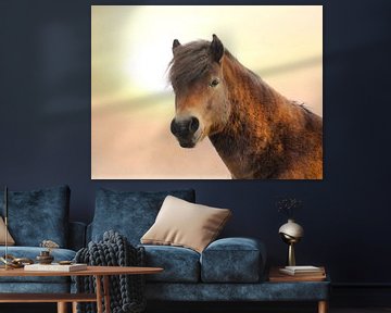 Portret van een paard van WeVaFotografie