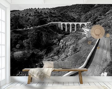Bridge over the Gaudiana Valley, Portugal by Femke Ketelaar