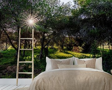 Whispering light through canopy - Albufeira's Natural Splendour by Femke Ketelaar