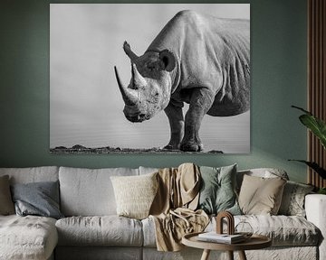 Neushoorn in zwart-wit van Omega Fotografie
