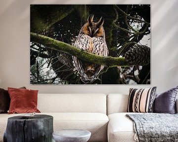 The wise owl by Leanne Verdonk