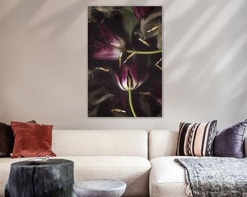 Stilleven paarse tulpen in water van Leanne Verdonk