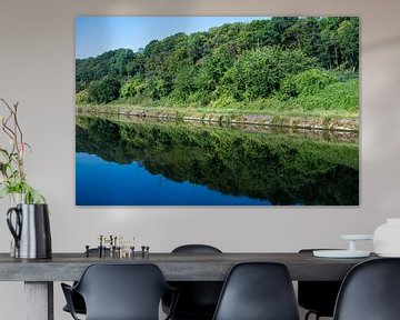 Trees and green vegetation reflecting in the banks of the River by Werner Lerooy