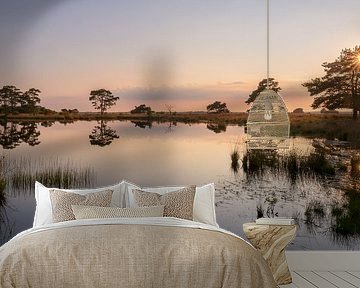 An evening on the Dwingelderveld by Marga Vroom