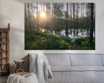 Moeras in Estland, Viru bog, Veen bij zonsopkomst, reflecties van zon in water van John Ozguc