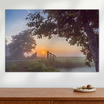 Brume matinale dans le polder