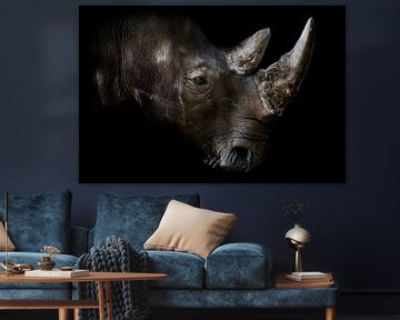 Rhinozeros mit schwarzem Hintergrund von Steven Dijkshoorn