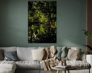 Spiegeling van bomen in de beek met houten brug van Dieter Walther