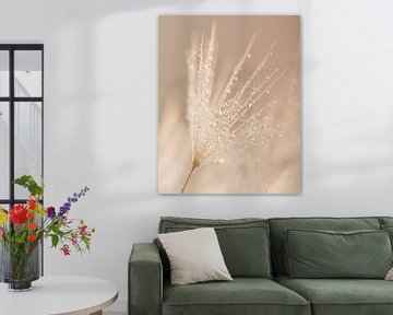 A fluff of a dandelion bears brilliant droplets (pastel color) by Marjolijn van den Berg