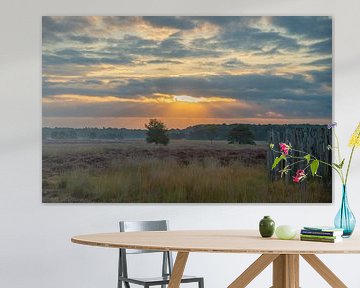 Sonnenaufgang an den Grabhügeln in der Regte Heide. von Miranda Rijnen Fotografie