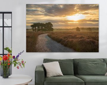 Sonnenaufgang in der Regte Heide. von Miranda Rijnen Fotografie