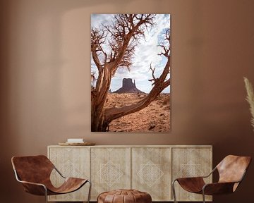 Monument Valley rotsformatie door boom