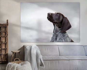 Silent Attention - Portrait of a Short-haired German Sheepdog by Femke Ketelaar