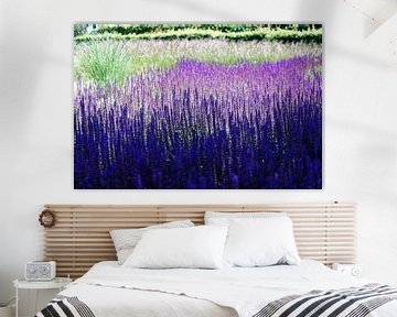 Lavendel von Carin IJpelaar