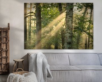 Sunbeams by KB Design & Photography (Karen Brouwer)