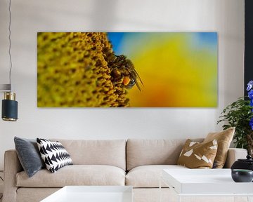Photo macro d'une abeille sur un tournesol en format panoramique