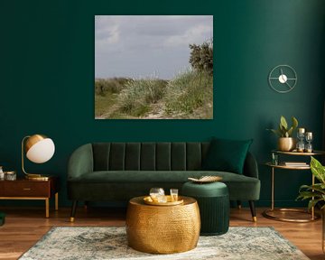 Een kijk op de duinen van Schiermonnikoog .