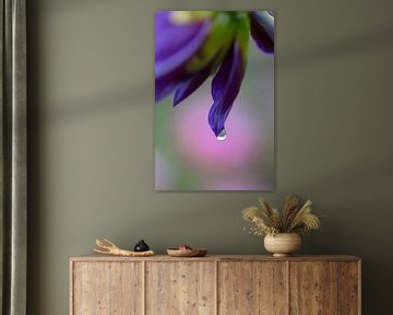 Nahaufnahme einer blau-violetten Iris (Schwertlilie) von Tot Kijk Fotografie: natuur aan de muur