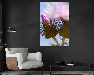 Thistle flower in the Portuguese wind by Tot Kijk Fotografie: natuur aan de muur