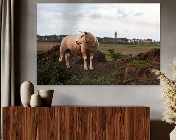 Schafe im Abendlicht von Tot Kijk Fotografie: natuur aan de muur