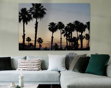 Palm trees in Palm Springs during sunset by Ricardo Bouman Photography