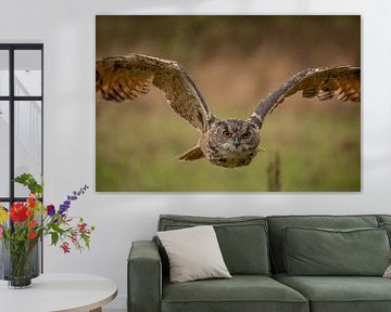 European eagle owl in flight by Tanja van Beuningen