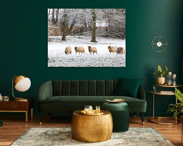 Moutons dans la neige hollandaise sur Jacob Molenaar