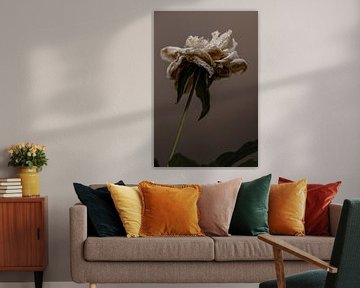 Floral Essence VI van Wendy Bos