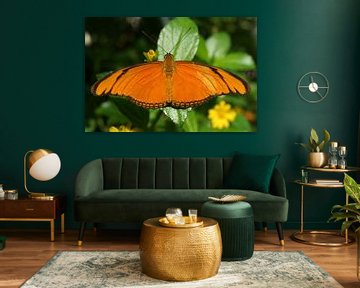 Oranje Vlinder van Michel van Kooten