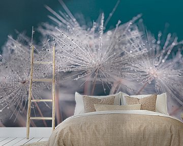 Tröpfchen glitzern auf dem weißen Flaum