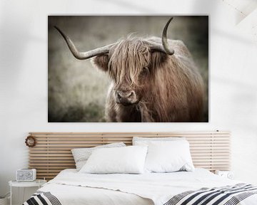 Portret van Schotse hooglander koe in fraaie bewerking van KB Design & Photography (Karen Brouwer)