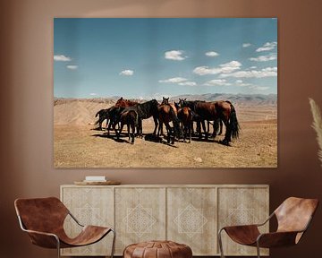 Pferde in Kirgisistan von Kimberley Jekel